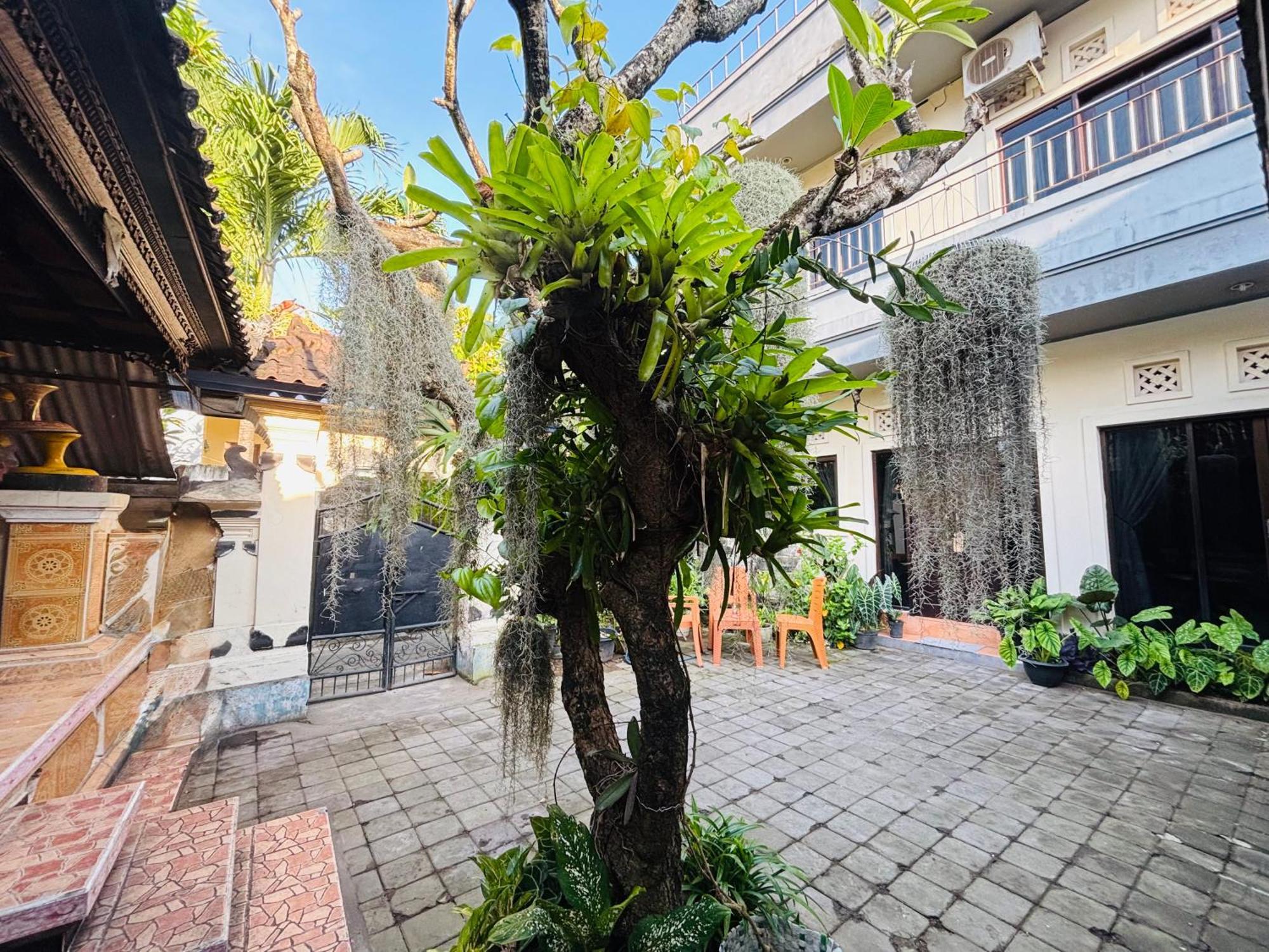 Mama Mega Homestay Pesanggaran Kültér fotó